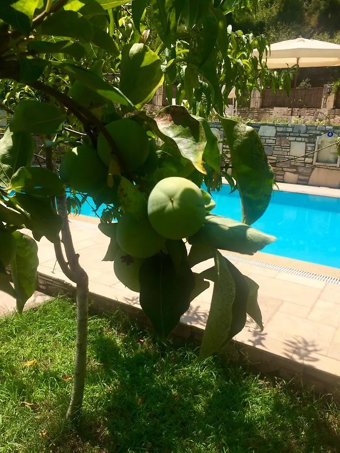 Kamarca House Hotel Dalyan Türkiye
