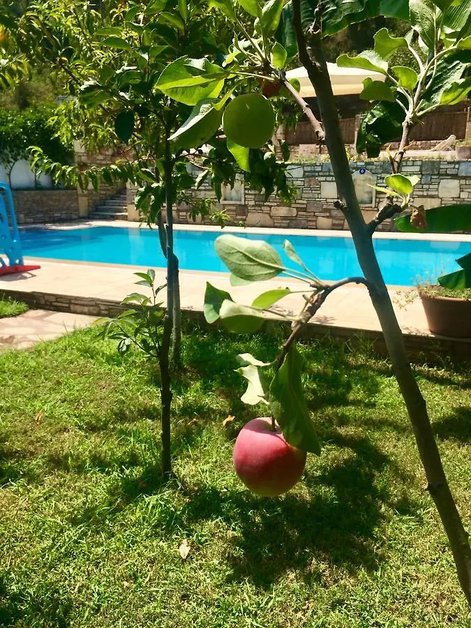 Kamarca House Hotel Dalyan